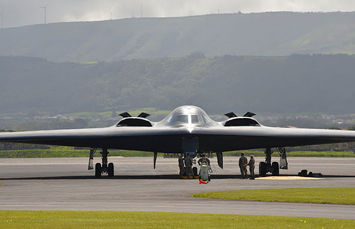 El diseño del bombardero B-2 Spirit, con su forma de "ala voladora" y perfil aerodinámico, fue notablemente inspirado por la silueta esbelta y eficiente del halcón peregrino durante su picado a alta velocidad.