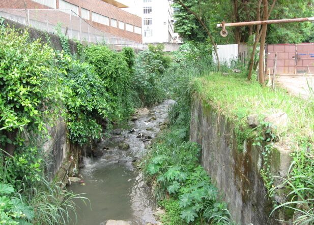 Río Maracanã: atraviesa barrios como Tijuca y Maracanã, integrando la subcuenca del Canal del Mangue. Fue significativamente canalizado y, en trechos, encubierto, contribuyendo a inundaciones en la Plaza de la Bandera. Foto/Wikipedia