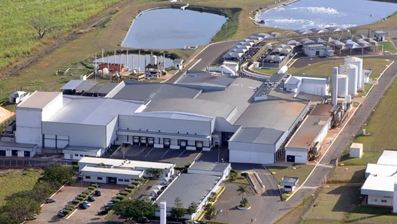 Las principales empresas del agro detrás de casi todo lo que Brasil planta y consume 