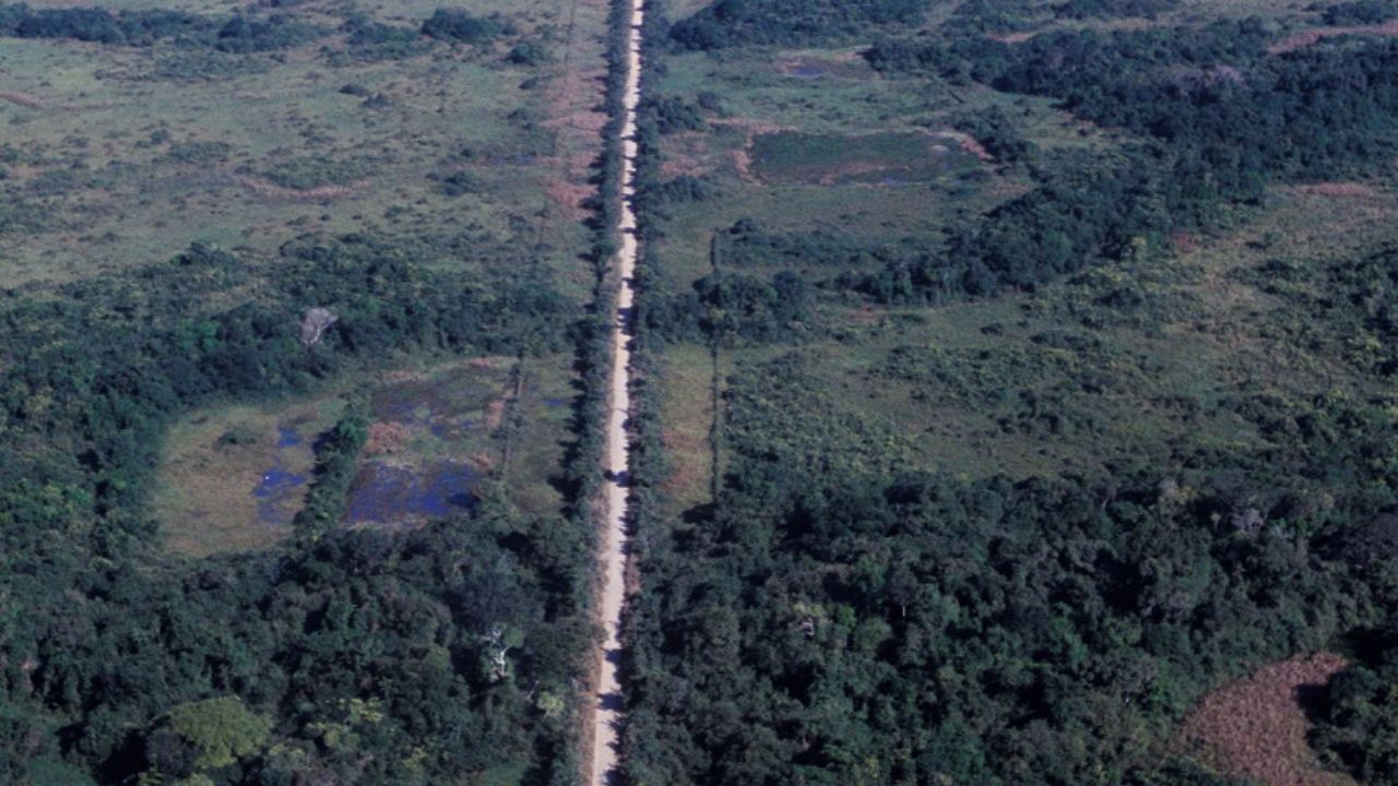 A "Estrada-Parque" mais bonita do Brasil, onde onças-pintadas atravessam a pista e a velocidade máxima é de 60 km/h