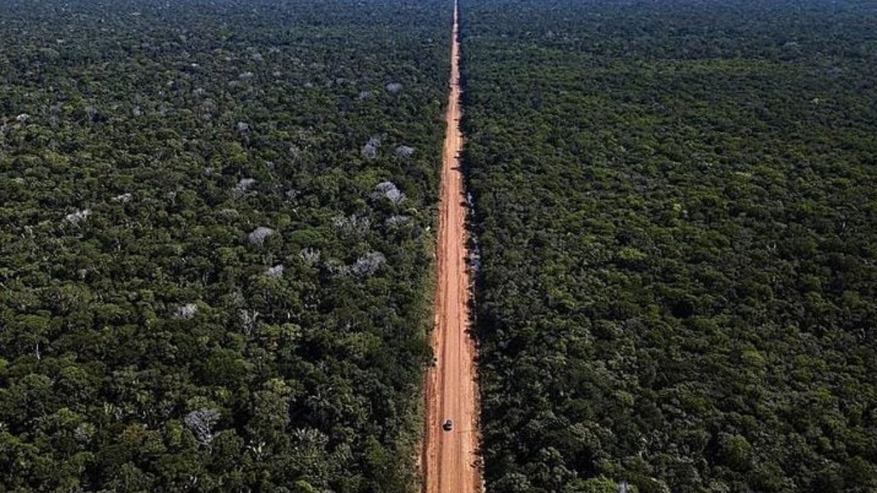 A construção da Transamazônica: O sonho que virou cicatriz na Amazônia