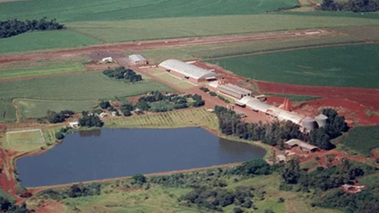 La saga del imperio de la soja comenzó con la visión pionera del patriarca André Maggi, que compró su primera granja en Mato Grosso en 1979, apostando en el futuro de la commodity en el Centro-Oeste. Imagen: Amaggi