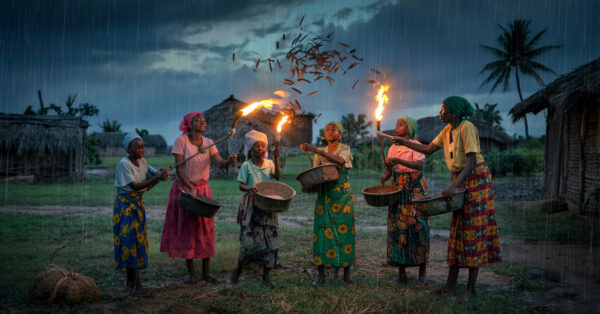 A vila que transforma cupins em proteína: milhares de mulheres caçam os insetos à noite com tochas e abastecem o mercado da Nigéria
