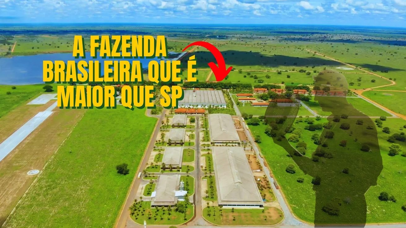 Com tamanho maior que São Paulo, fazenda no MT une tecnologia, pecuária solta, soja e sustentabilidade em modelo que impressiona o mundo.