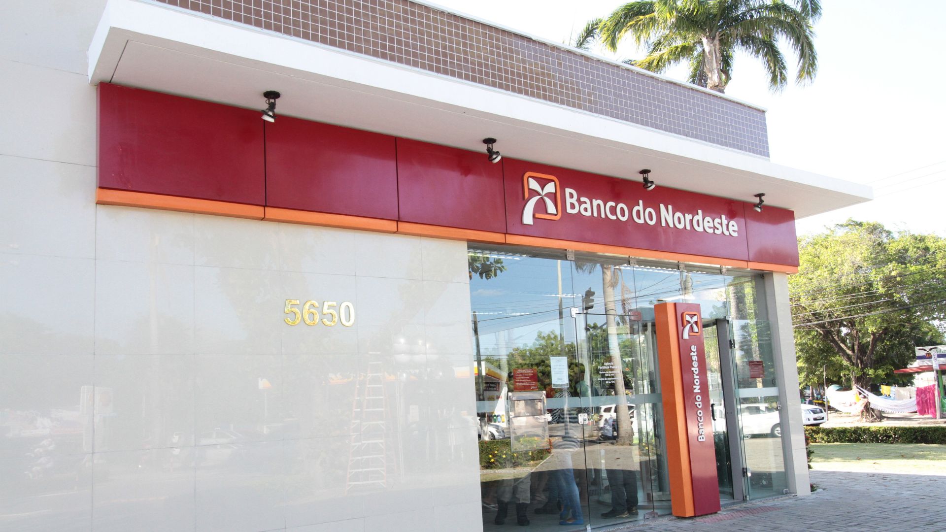 Banco do Nordeste investe R$ 4,4 bilhões em energia limpa em 2024 e evita emissão de 18 milhões de toneladas de CO₂