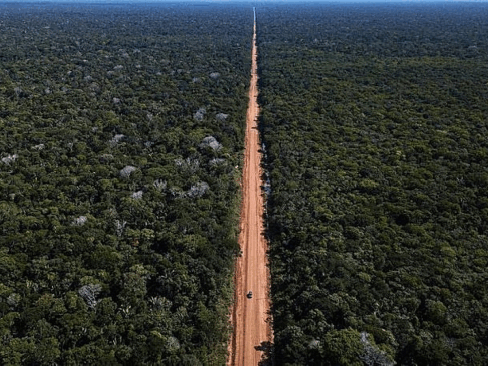 Cómo es recorrer la polémica carretera de 4.000 km que corta la mayor selva del mundo