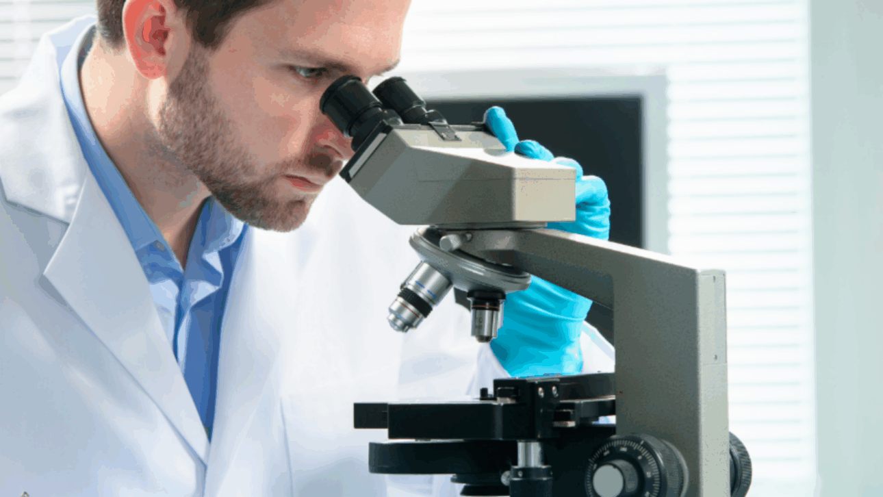 licencia nacional de conducción - CNH - examen toxicológico -