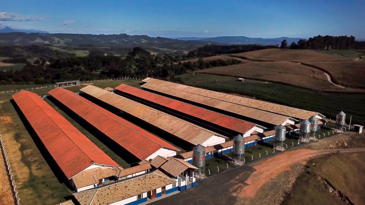 Energia renovável é a receita das indústrias de alimentos e bebidas para reduzir custos e atingir metas ESG