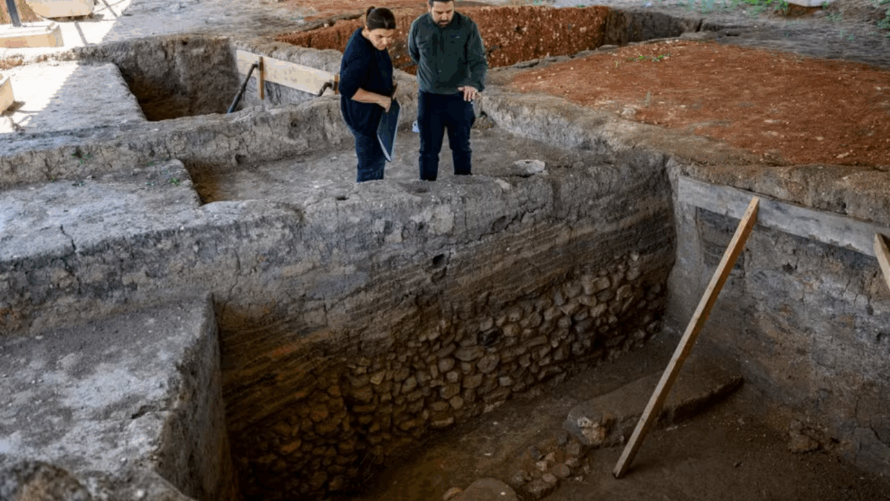 pan - descubrimiento - fósil - arqueología
