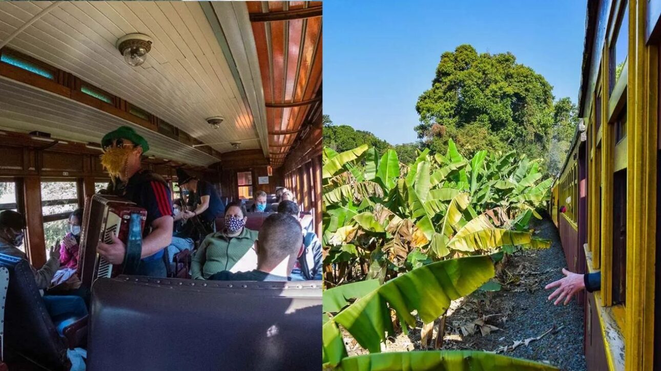 Viaje por una ferrovia histórica en SC por menos de R$ 100, cruzando túneles y puentes con vista para la mata nativa a bordo de una Maria Fumaça. (Imagen: site Viagens Sem Caminho)