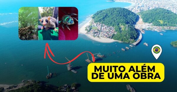 Ponte de Guaratuba já monitorou mais de 18 mil animais e revela espécies raras, destacando-se pela integração entre desenvolvimento e sustentabilidade ambiental.