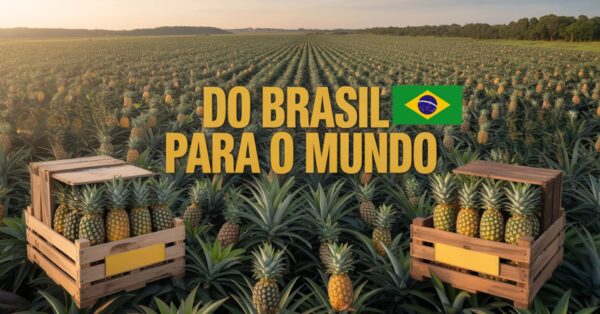Descubra como a maior fazenda de abacaxi do mundo no Tocantins alia tecnologia, sustentabilidade e exportação recorde para Europa e EUA.