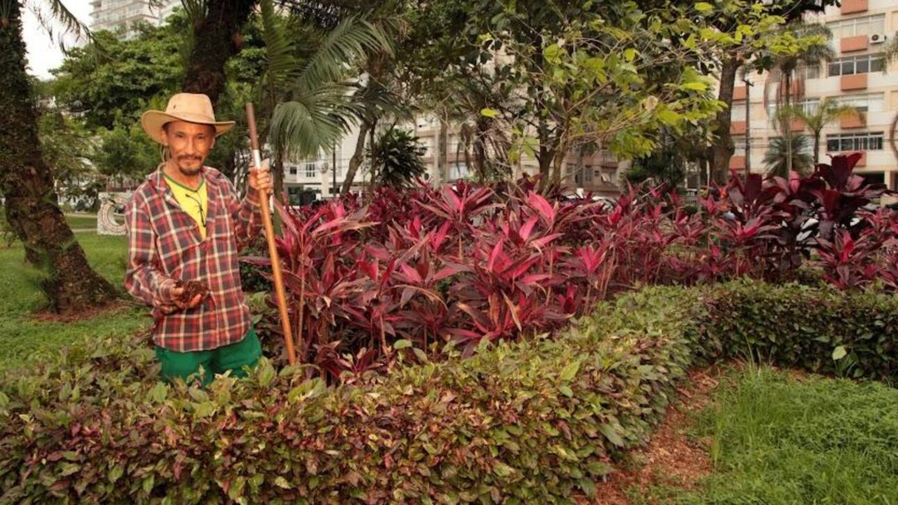 Conozca el mayor jardín de playa del planeta en Santos: área verde récord, paisajismo y 1.746 árboles en plena orilla paulista. Descubra más. (Imagen: archivo/PMS)