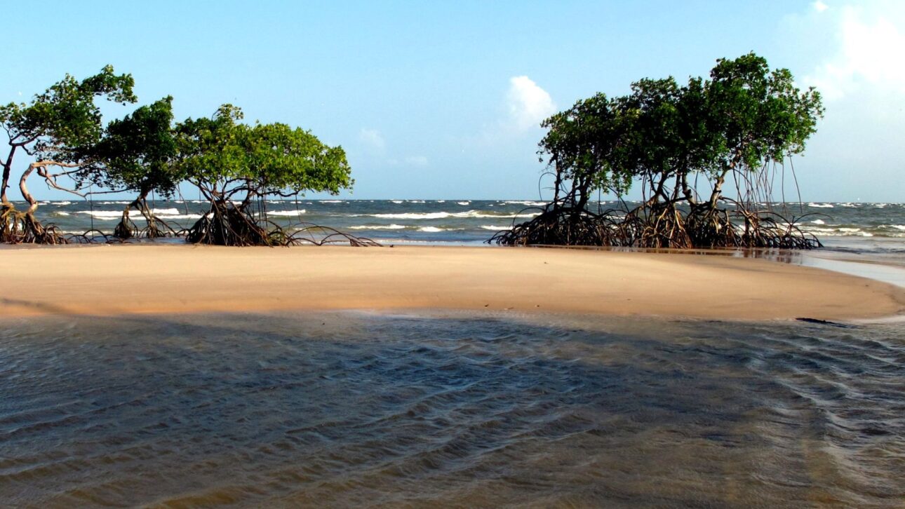 Descubre el Arquipélago de Marajó, destino de lujo silencioso en la Amazonía Atlántica, con playas intocadas y experiencias exclusivas.