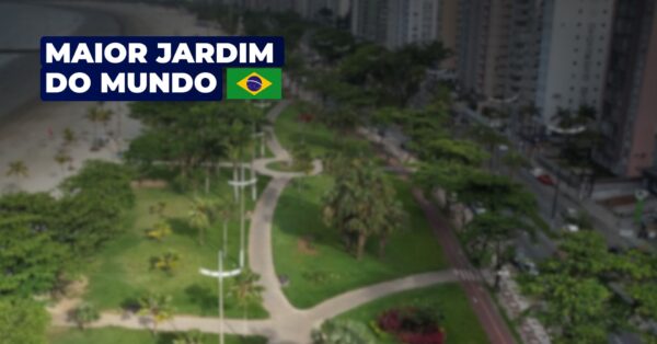 Conheça o maior jardim de praia do planeta em Santos: área verde recordista, paisagismo e 1.746 árvores em plena orla paulista. Descubra mais. (Imagem: arquivo/PMS)