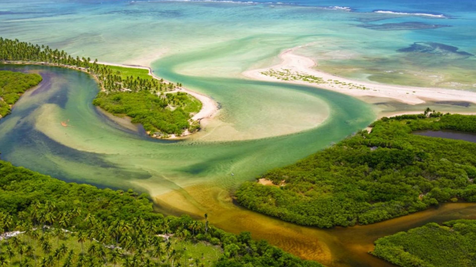 Descubra Tatuamunha, a praia escondida de Alagoas: dunas tranquilas, pousadas sustentáveis e passeios para ver peixe-boi. Leia agora.