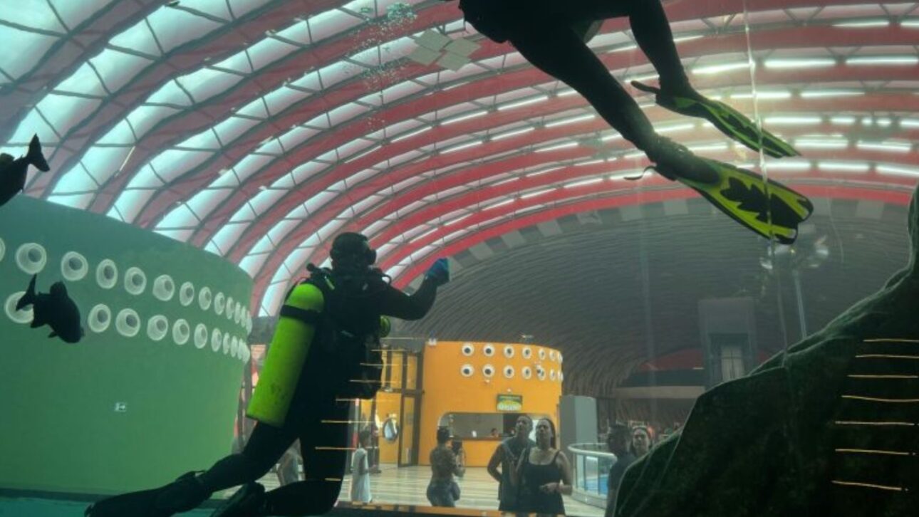 Descubre el Bioparque Pantanal, mayor acuario de agua dulce del mundo: 5 millones de litros, 440 especies y investigación de punta en Campo Grande.. (Imagen: reproducción Bio Parque Pantanal/ divulgación)