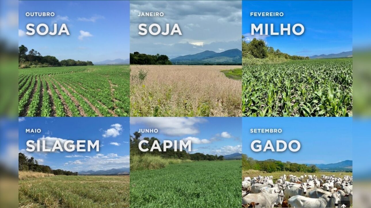 Con un tamaño mayor que São Paulo, la hacienda en MT une tecnología, ganadería libre, soja y sostenibilidad en un modelo que impresiona al mundo. (Imagen: divulgación)