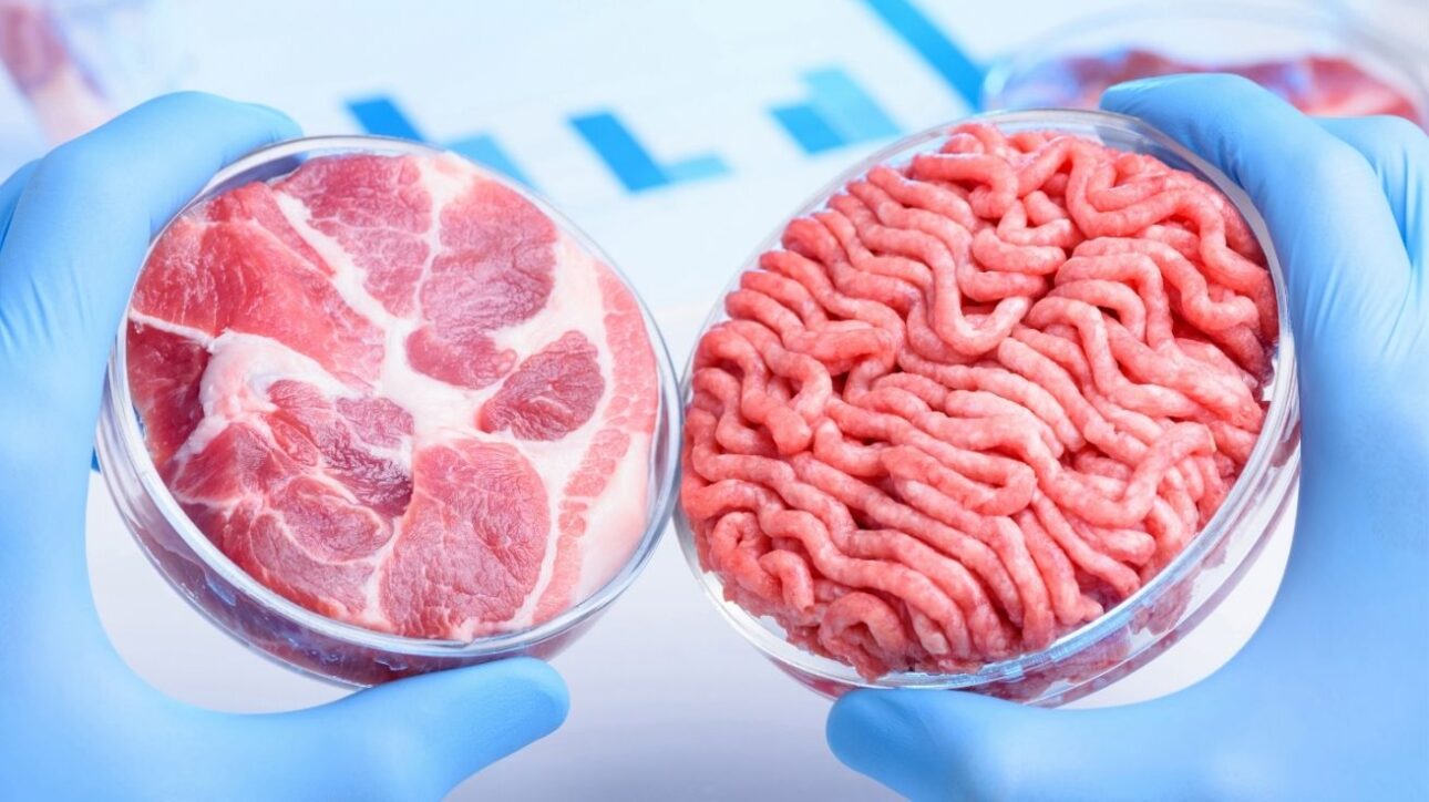 Carne hecha en laboratorio crece en el mundo y promete revolucionar lo que comemos. Menos impacto, más innovación y cero sacrificio animal.