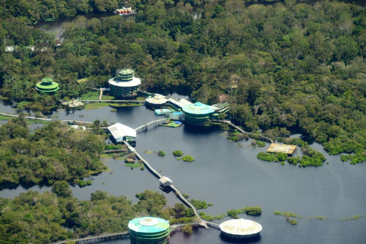 Ariaú Towers: A história do hotel de luxo na Amazônia que hospedou reis e virou ruína