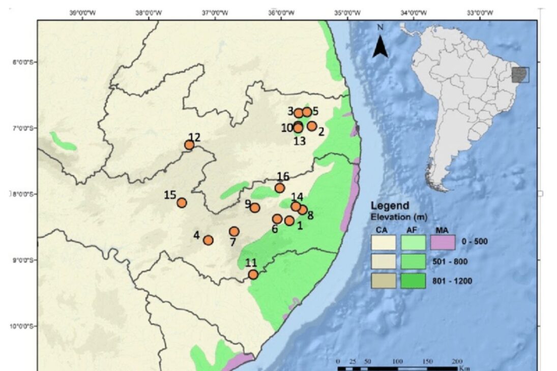 El oasis en medio del sertão pernambucano: la ciudad a 1.000 metros de altitud con clima frío, teleférico y cine