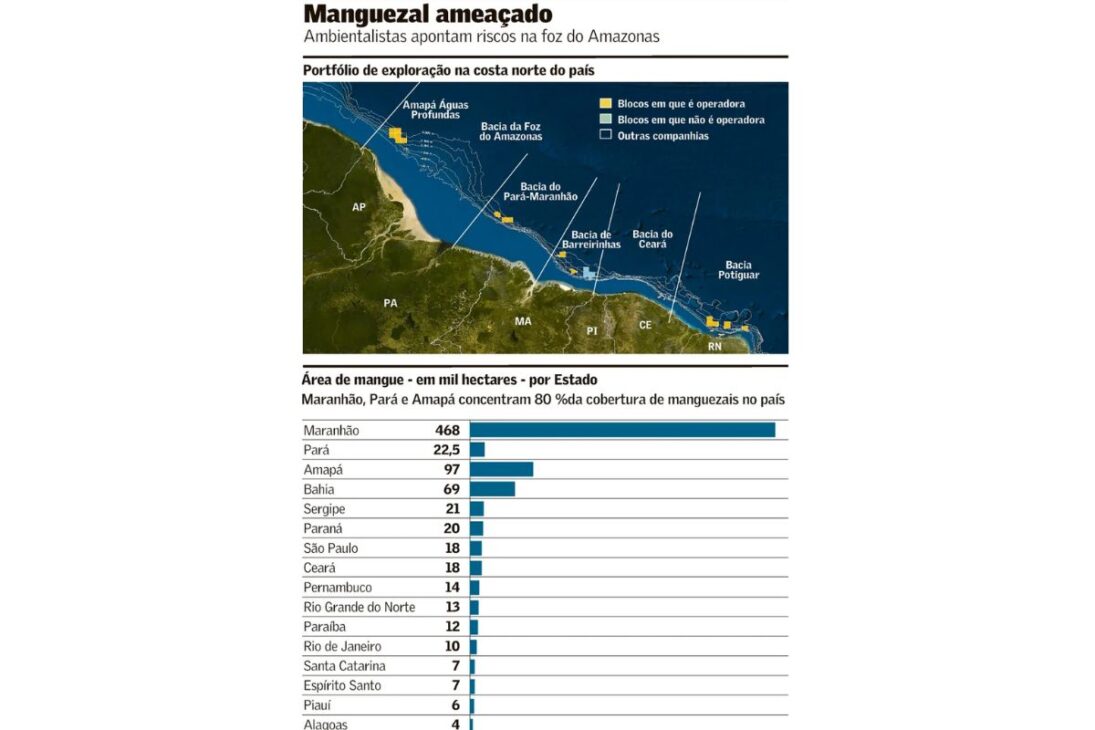 Presencia china en La Foz del Amazonas: cómo La CNPC, en asociación con La Chevron, garantizó 9 bloques por R$ 582,2 millones