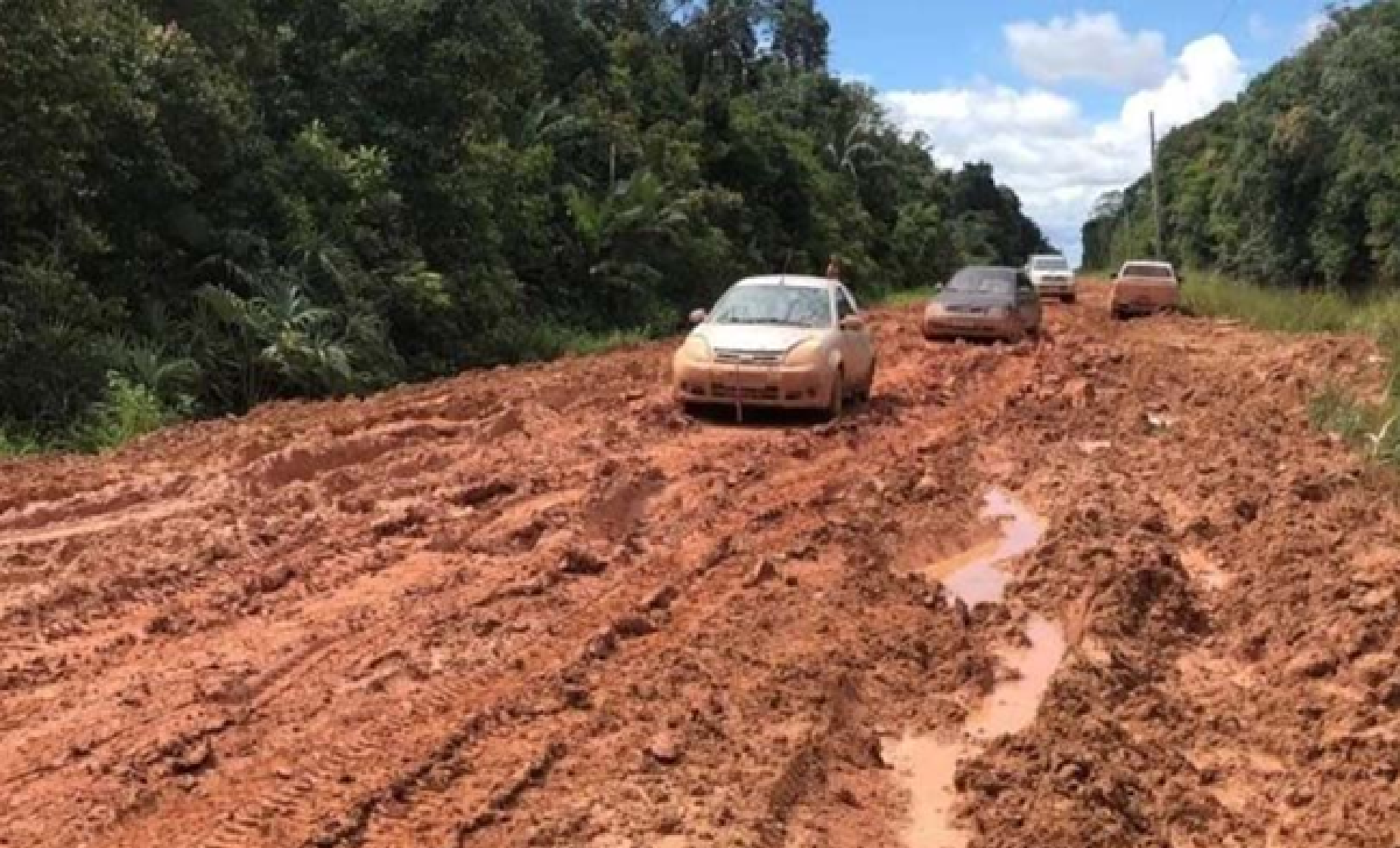 rodovia, BR, amazonia
