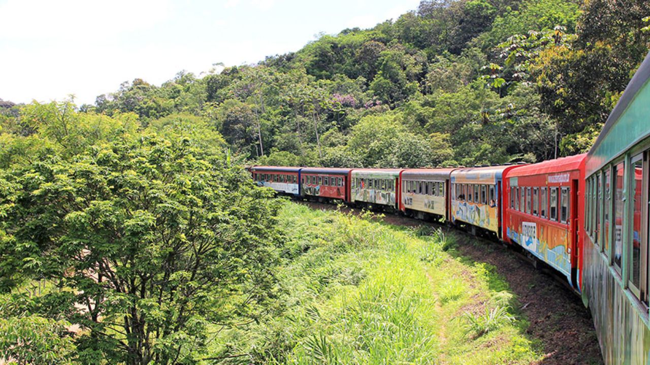 Viagem de trem no Brasil cruza pontes e túneis de 140 anos na Serra do Mar, dura 4 horas e é eleita uma das mais bonitas do mundo