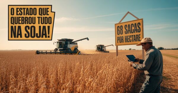 Safra histórica: Bahia bate recorde de produtividade na soja e desafia gigantes do agro com tecnologia, manejo e clima favorável.