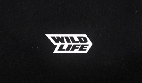 De Brasil para las pantallas de millones de jugadores globales, Wildlife Studios revoluciona el mercado móvil con juegos creativos y premiados, mostrando que el talento brasileño también domina el universo digital del entretenimiento interactivo.