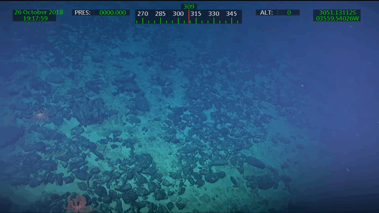 Un archipiélago sumergido gigante en el Atlántico revela minerales valiosos y un ecosistema único, despertando interés científico y económico global.