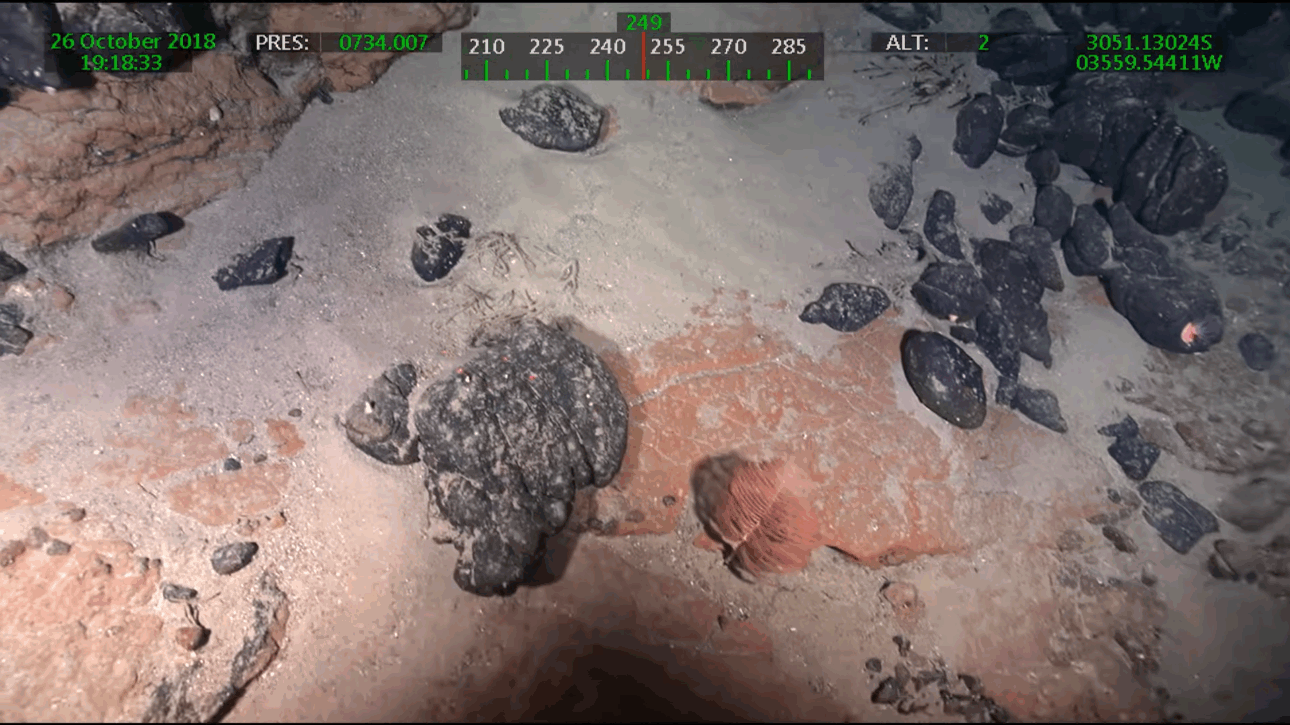 Un archipiélago sumergido gigante en el Atlántico revela minerales valiosos y un ecosistema único, despertando interés científico y económico global.