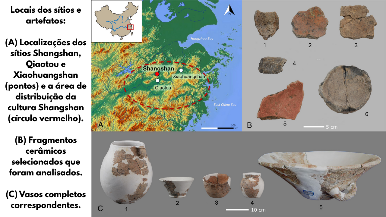 Descubrimiento arqueológico en China muestra que técnicas de fermentación ya eran usadas hace 10 mil años.