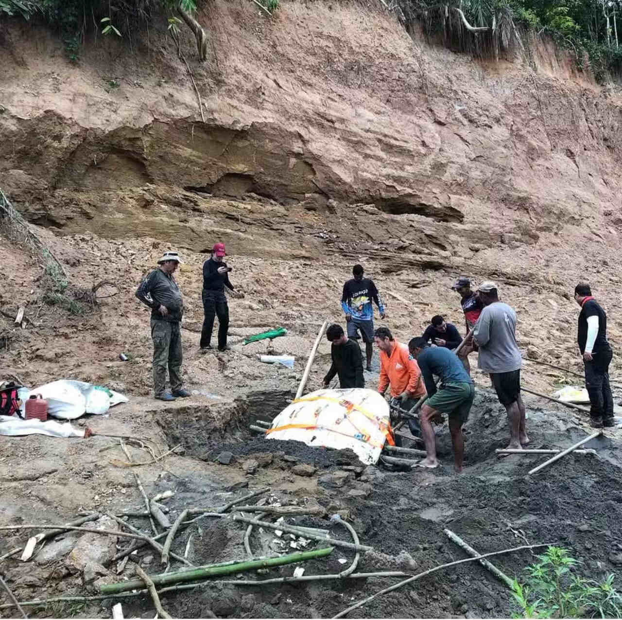 Fóssil, Tartaruga, tartaruga gigante