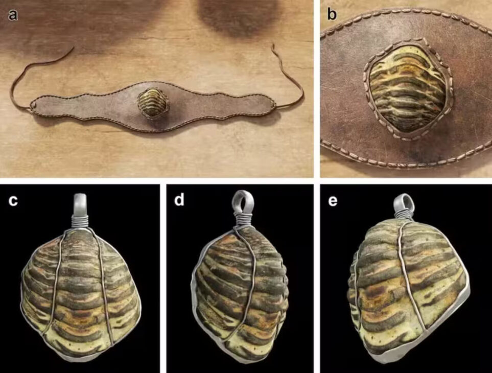 Simulaciones de computadora del ejemplar de trilobita hallado montado para uso como ornamento personal