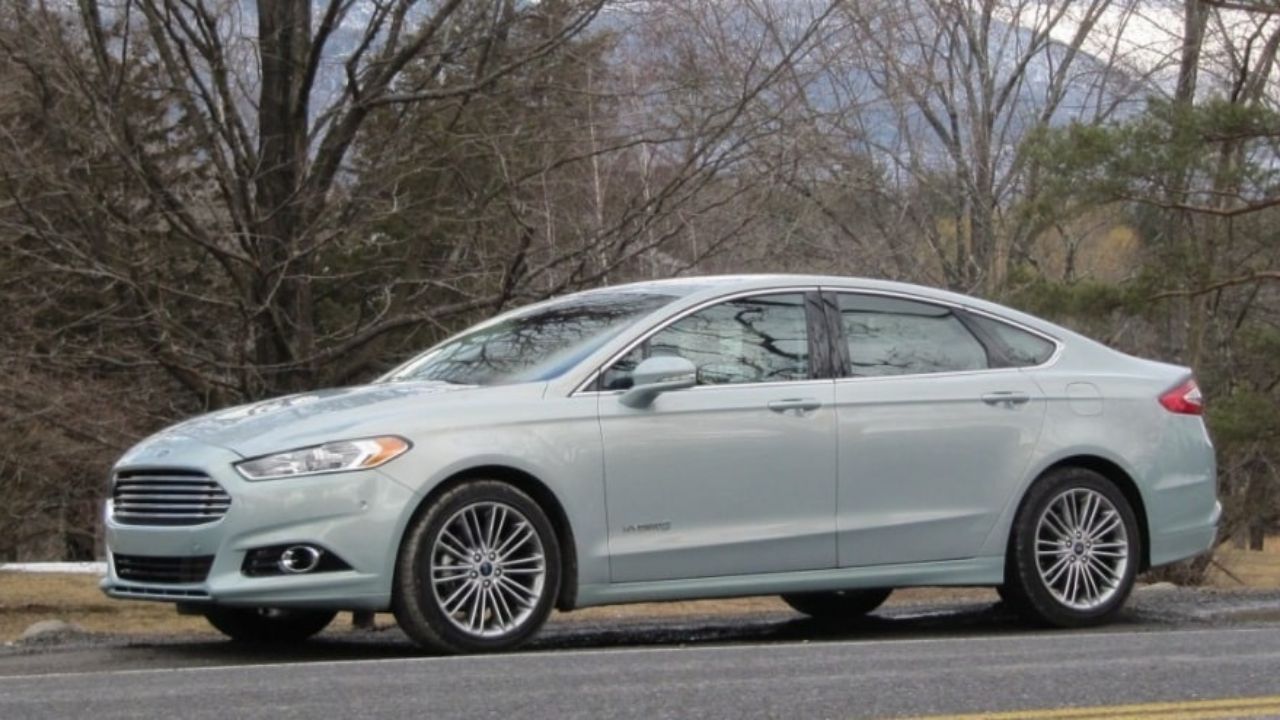 Imagen: Divulgación