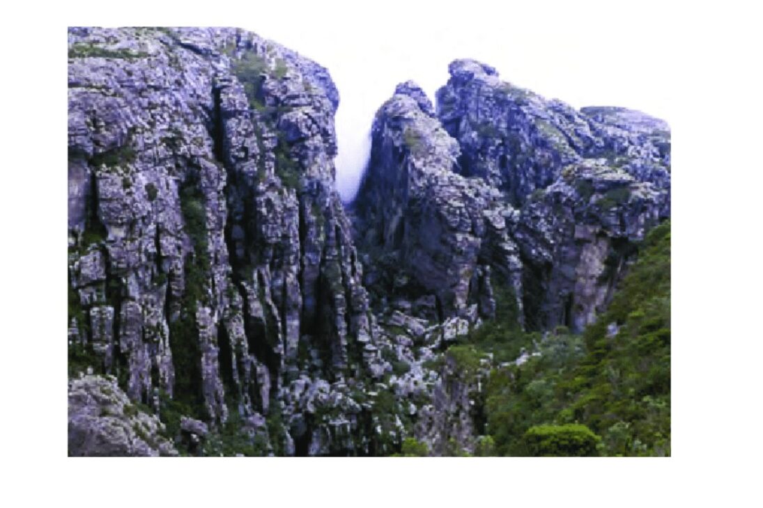 La cueva más profunda de Brasil con 481 metros de profundidad y un desarrollo de 4.710 metros.