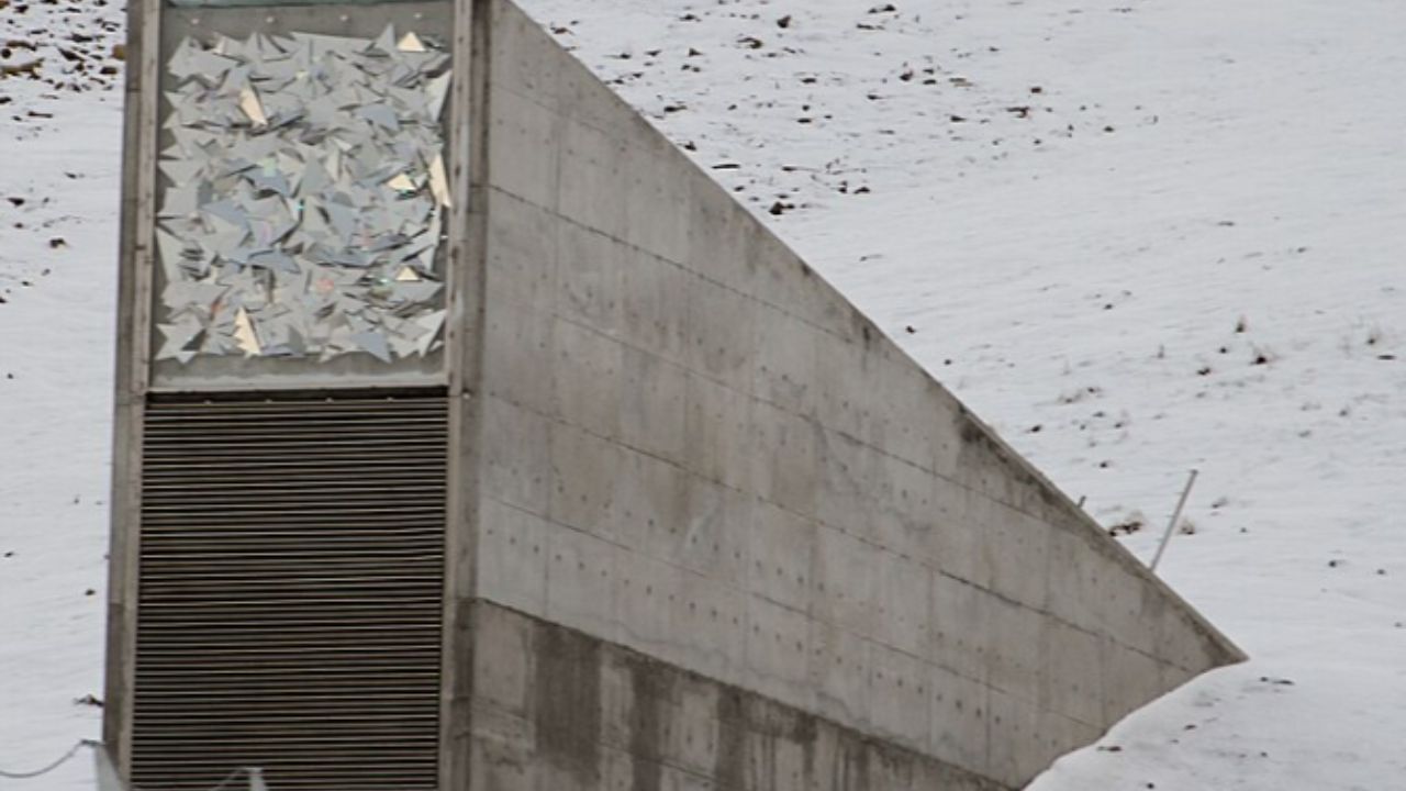 El diseño de ingeniería del Cofre de Semillas lo establece como una fortaleza de máxima resiliencia, excavada en roca ártica y protegida por el permafrost para garantizar la preservación contra el tiempo y catástrofes.