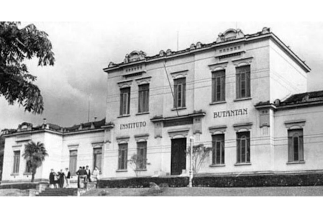 La Cura Que Nace del Veneno: la Saga del Butantan y la Creación del Suero Que Salvó el Campo Brasileño