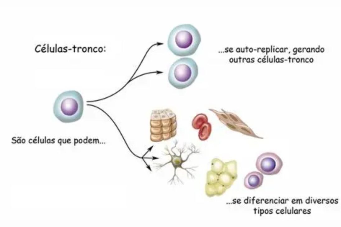 La Promesa de Vivir Más de Mil Años, Ya Revirtió el Envejecimiento y Revela Cómo los Humanos del Futuro Podrán Tratar la Vejez 