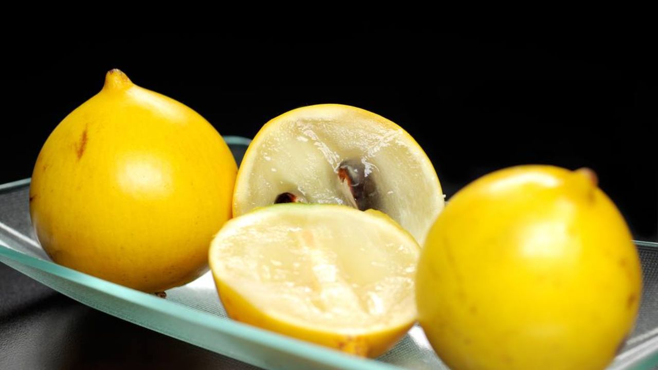 Conozca la trayectoria del abiu, fruta exótica de la Amazonía, que se convirtió en un éxito en las ferias paulistas y símbolo de innovación en la fruticultura familiar.