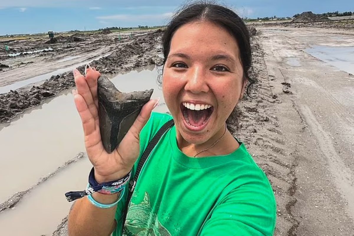 Mulher desenterra dente enorme de criatura pré-histórica e viraliza nas redes