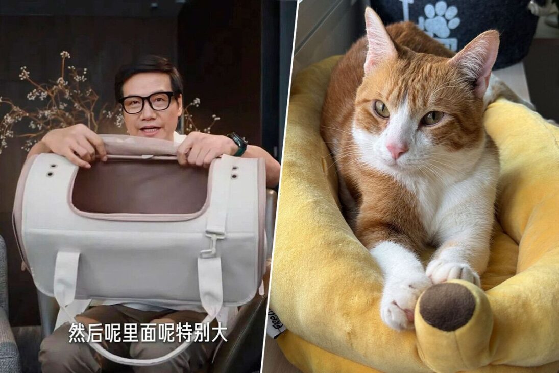 CEO de Xiaomi Muestra Caja para Gatos y Producto Se Agota en Minutos