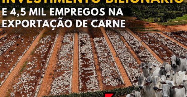 Com R$ 1,2 bilhão, Oeste da Bahia se prepara para virar centro global da carne — e mudar o mapa da pecuária brasileira