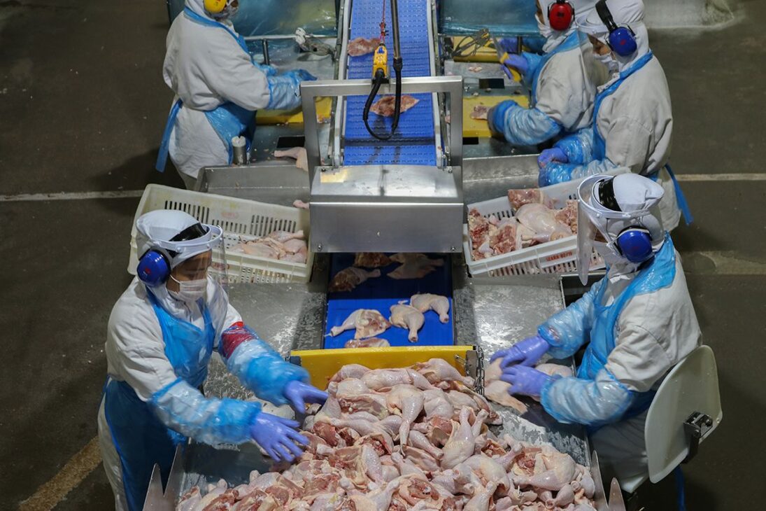 Con exportaciones en caída para los EUA, Brasil cierra acuerdo con México y reacciona en el agro