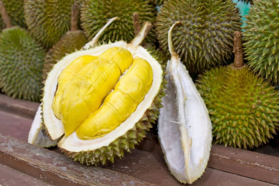 Durian: la fruta que tiene mal olor, cuesta R$800 y ahora seduce a brasileños por su valor terapéutico
