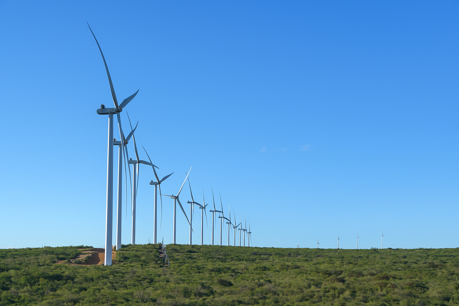 Parque eólico em área verde sob céu azul com poucas nuvens visíveis.