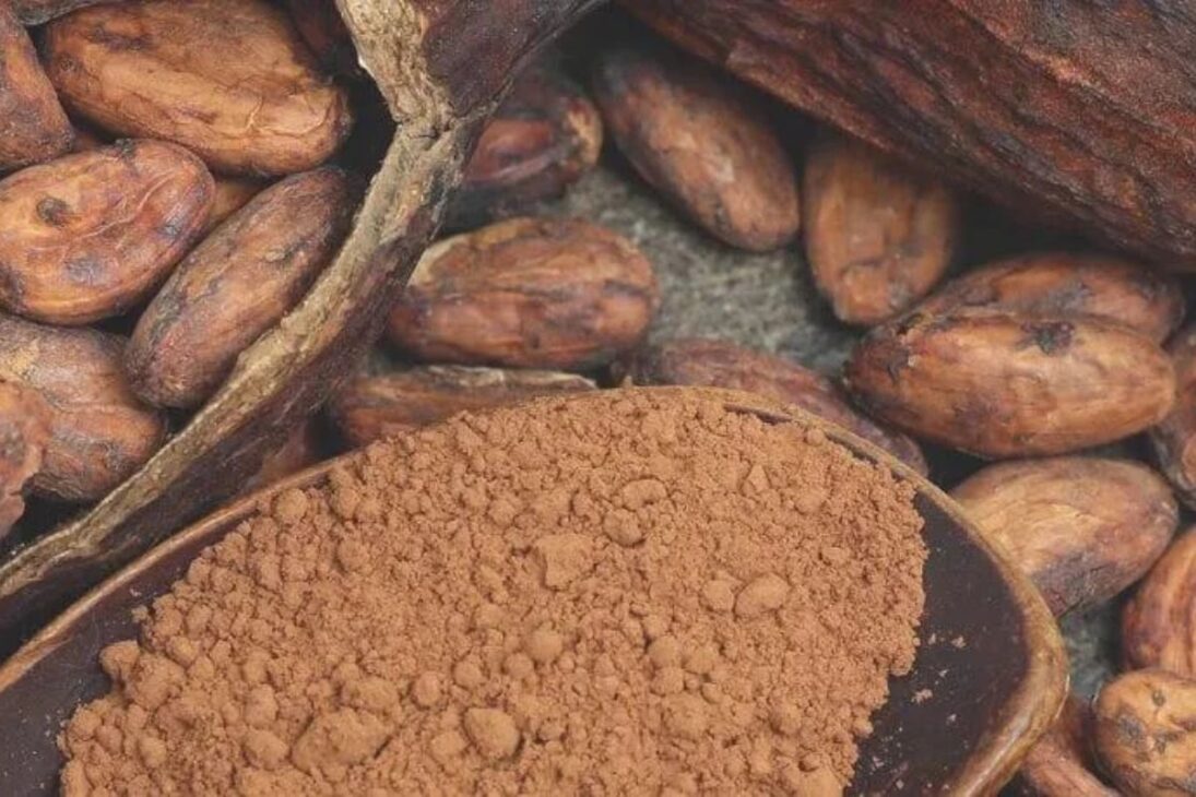 Al igual que los granos de café, las almendras de cacao deben ser tostadas. En grandes tambores rotativos industriales, se calientan a temperaturas controladas. La tostación es la etapa que verdaderamente despierta el aroma y el sabor característicos del chocolate. Tras la torrefacción, las almendras son peladas y molidas por una serie de rodillos, transformándose en una pasta espesa y amarga conocida como "licor de cacao" o masa de cacao.