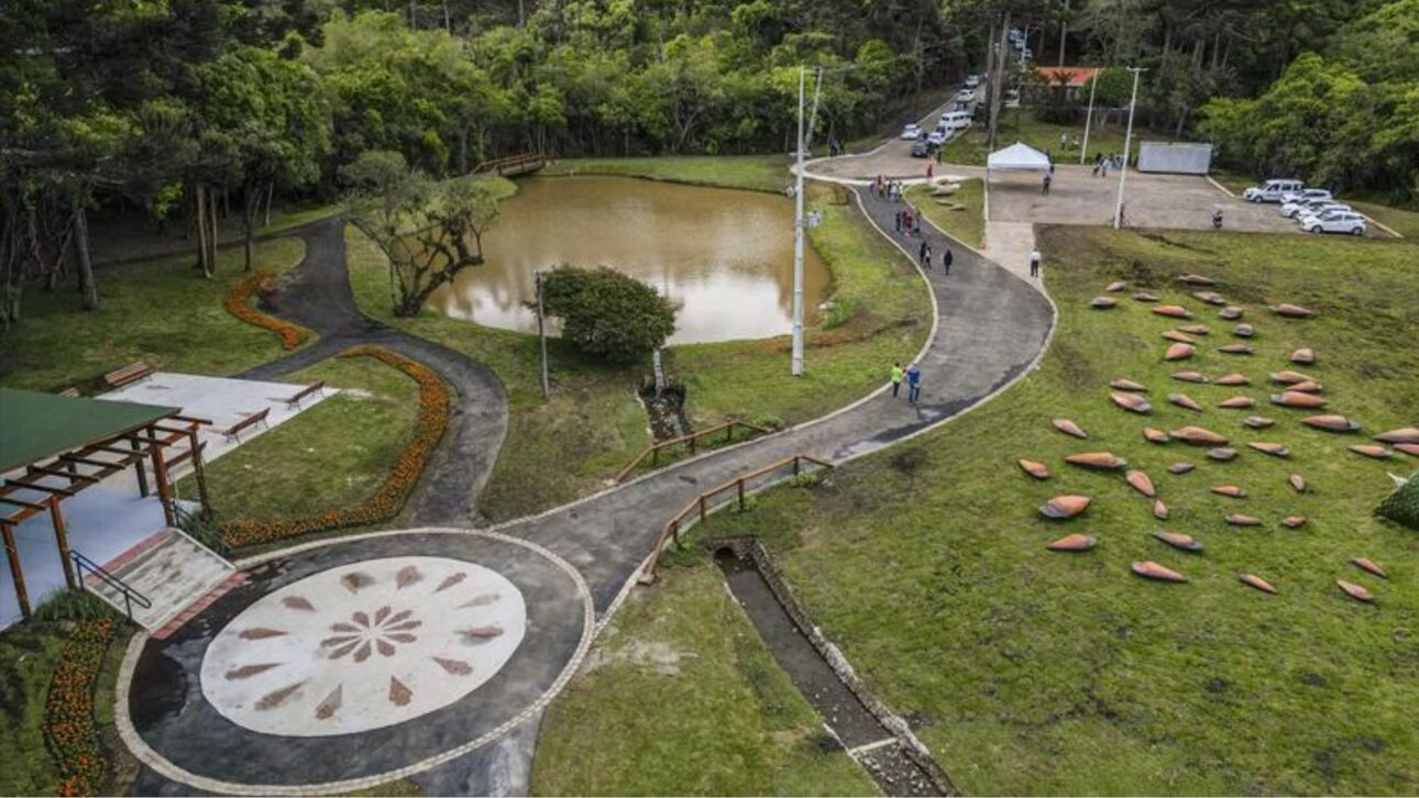 Descubre El Parque Pinhal De Santana En Curitiba, Con Pinos Gigantes, Atractivos Inclusivos Y Cultura Paranaense En Medio De La Naturaleza.