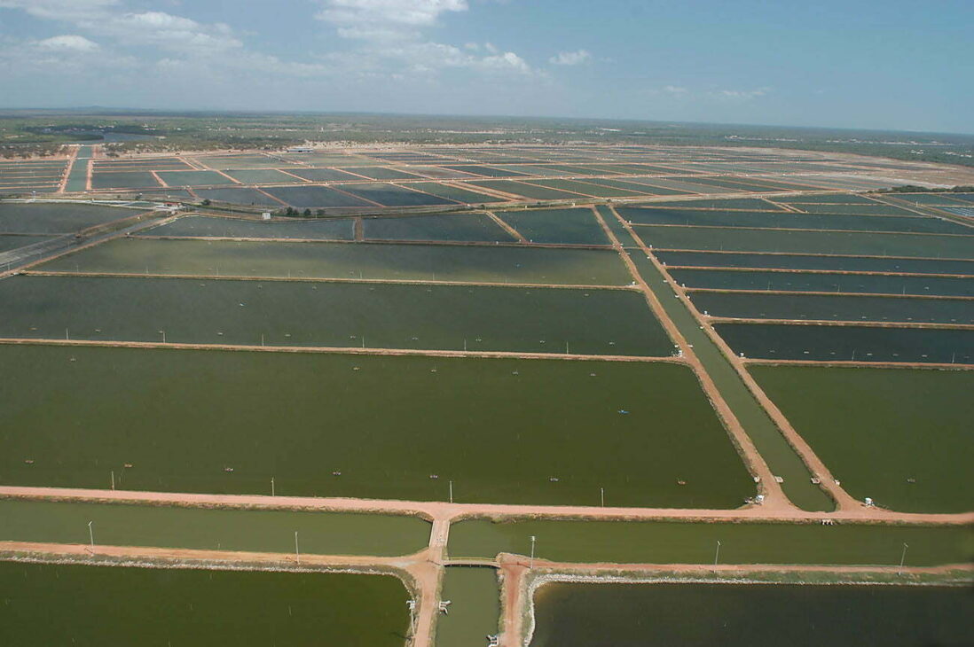 El río que hizo florecer el sertão ahora lucha por sobrevivir: Jaguaribe, el más largo de Ceará, enfrenta contaminación, desagües y ocupaciones irregulares
